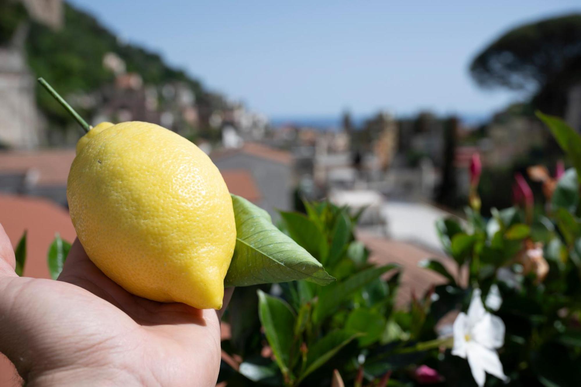 Valle D'Amalfi Suites Ngoại thất bức ảnh
